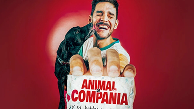 Animal de Compañia