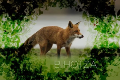 Bihotza, la vida en Álava como nunca la habías visto