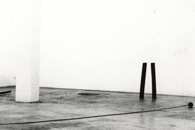 Bilduma Hau Colección. Movimientos elementales (1950-2000)