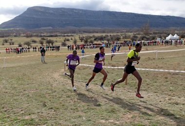 XXXII Cross Internacional de Soria