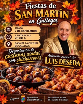 Fiestas de San Martín en Gallegos