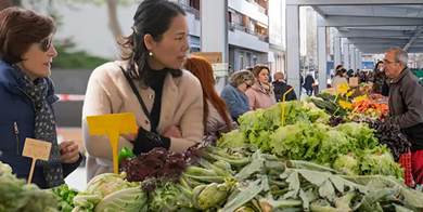 Mercado de la Plaza Santa Bárbara