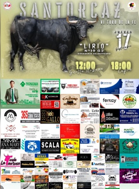 VI Toro de la fe