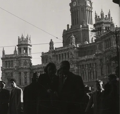 Vida del Palacio de Cibeles
