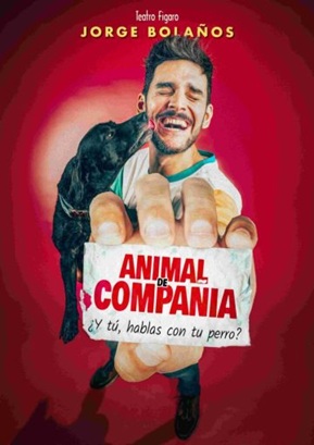 animal de compañia